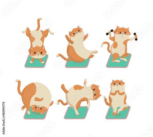 Fototapeta Naklejka Na Ścianę i Meble -  Set Cheerful kittens do exercises. Athletes cats train on yoga mats. Animals and fitness, sports, yoga. Vector illustration.