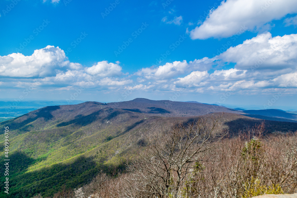 Panoramic view of Shenandoah National Park, Virginia, USA