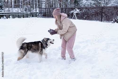 Young woman playing with siberian husky dog in the snow on winter day  training and walking her pet dog. Friendship  lovely dog  best pet  dog for a walk with his owner