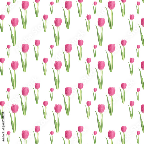 Pattern of beautiful pink tulips on a white background. Valentine card.