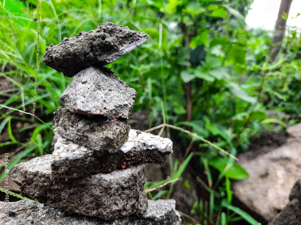 Obraz premium mushroom on the stone