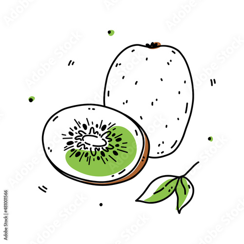 Whole and half kiwi fruit isolated on white background. Organic healthy food. Vector hand-drawn illustration in doodle style. Perfect for cards, logo, decorations, various designs.