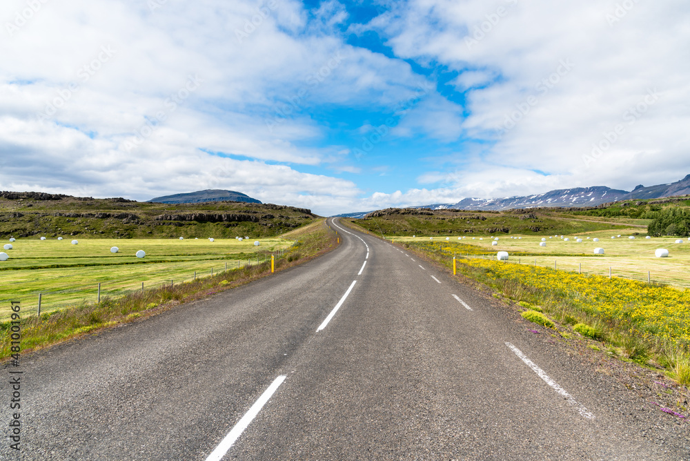 Winding country road running between grassy fields dotted with wrapped hay bales in Iceland on a sunny summer day