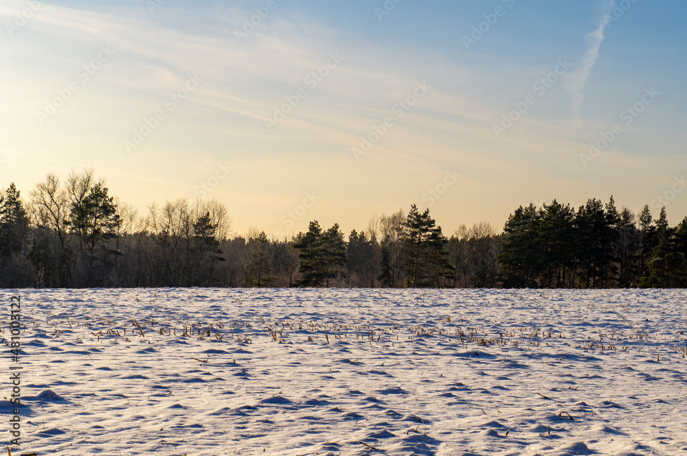 Beautiful snowy winter landscape with white field