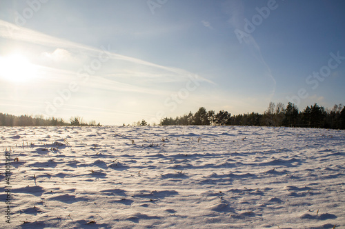 Beautiful snowy winter landscape with white field