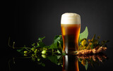 The frozen glass of beer with hops and barley on a black reflective background.