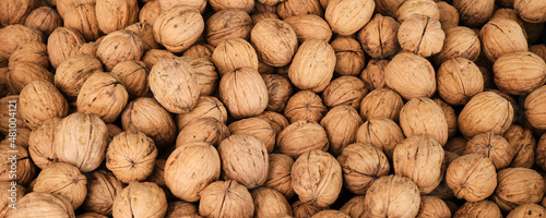 Pile of walnuts in shell