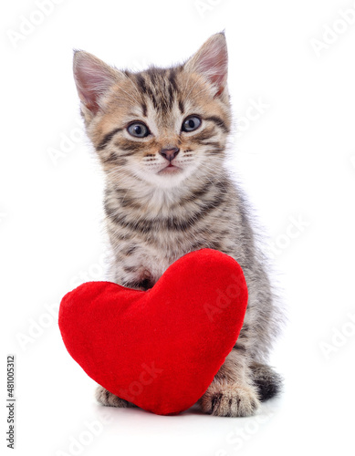 Cat and red heart.