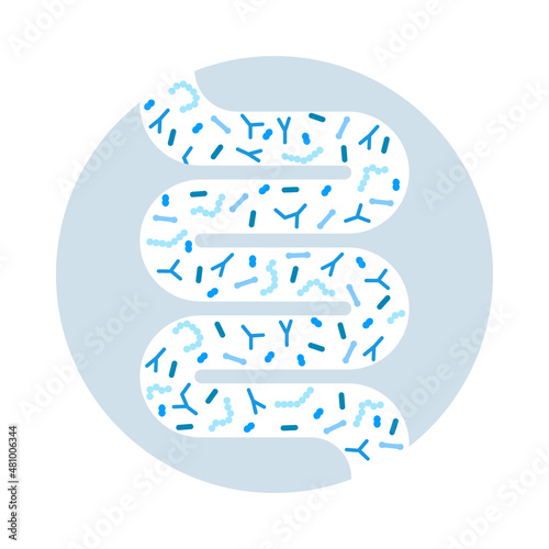 Gut microbiome concept. Human intestine microbiota with healthy probiotic bacteria. Flat abstract medicine illustration of microbiology checkup.