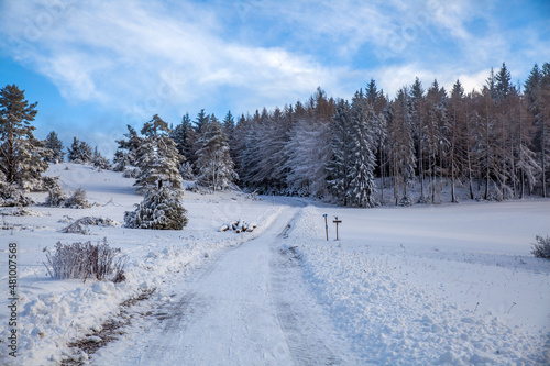 snow covered trees