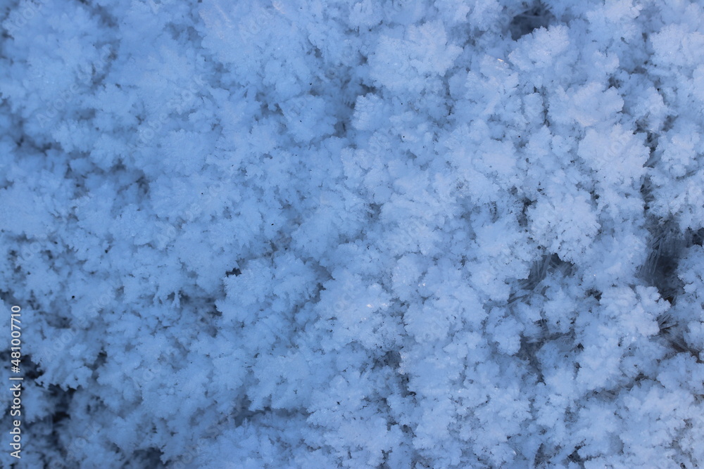 Fototapeta premium snow texture