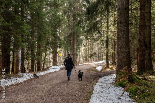 A woman hiking with her dog through a forest in the Bavarian mountains