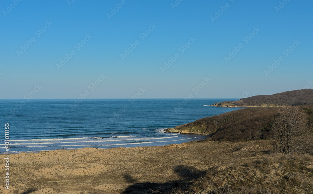 winter landscape on the sea with a sandy shore, on the mountains around the trees without leaves. A rich blue sky and a dark blue sea on a clear sunny day.