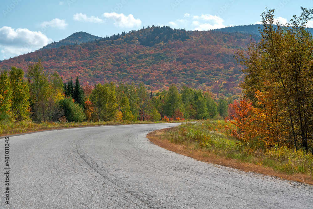Autumn Road Autumn Road