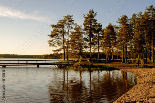 Beach on a forest lake