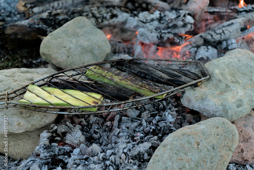 on an open fire from the branches of dry trees in the wild on the stones laid out on the sides, grilled vegetables zucchini and eggplant.
