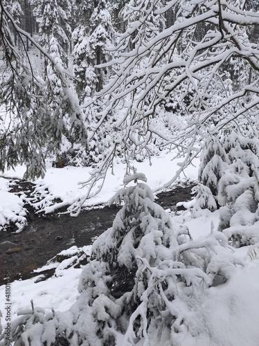 christmas tale. beautiful winter landscape of the carpathians with a mountain river on a cold snowy day