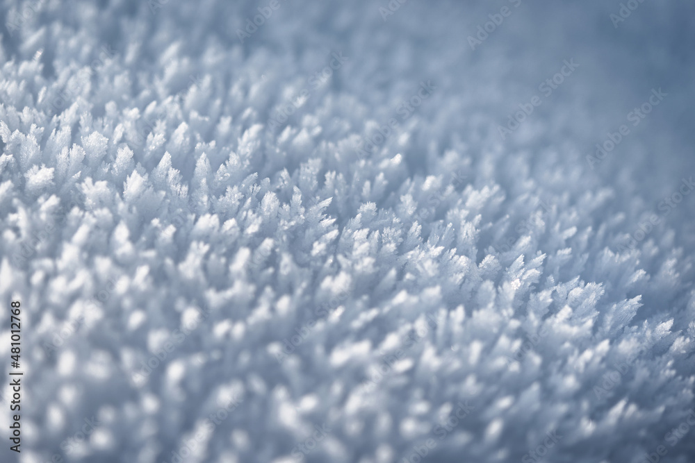 Obraz premium Snow in detail, abstract view or background, one
