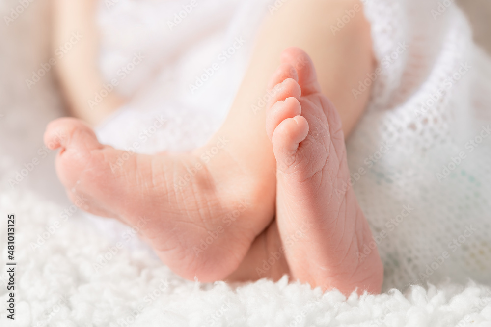 Baby legs close up on a light background Baby legs close up on a light background