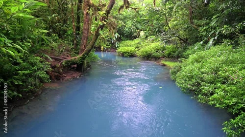 Wallpaper Mural blue river Rio Celeste, Parque Nacional Volcán Tenorio, Costa Rica, Central America Torontodigital.ca