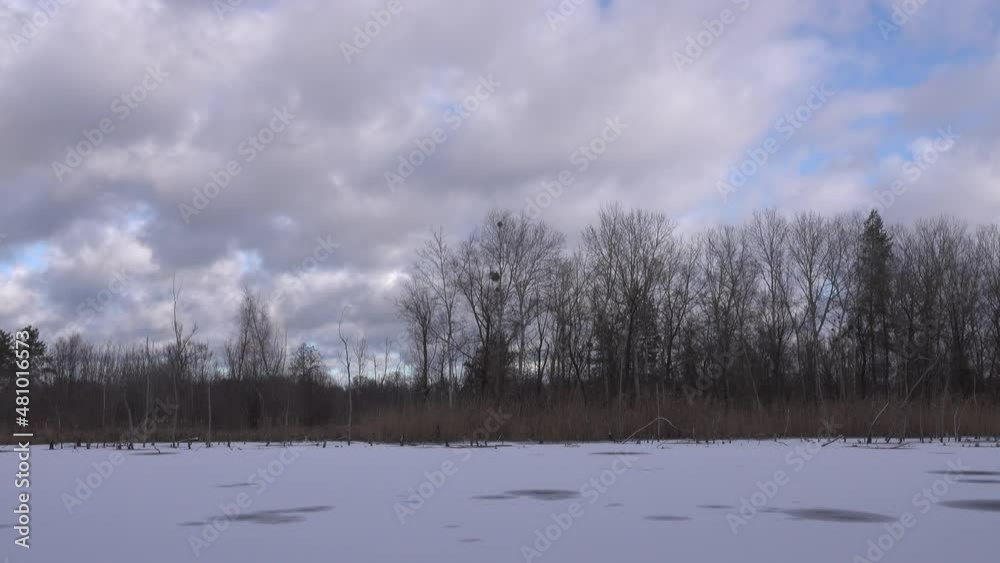 Ice-covered river and bank with tree silhouettes, winter landscape. Ice-covered river and bank with tree silhouettes, winter landscape.