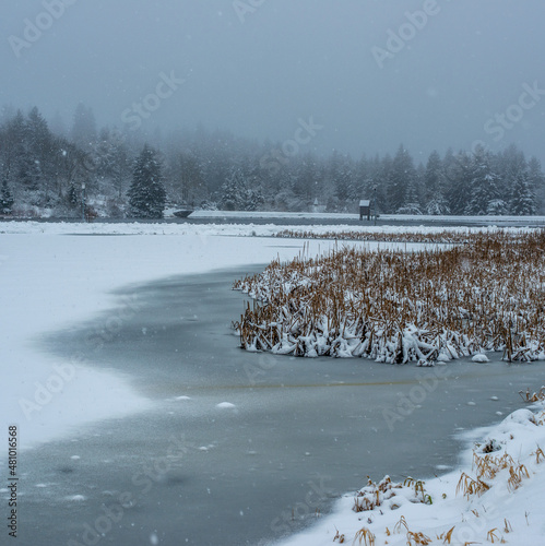 Kranicher Teich on a foggy winter morning with snow, Hahnenklee, Goslar, Lower Saxony, Germany photo