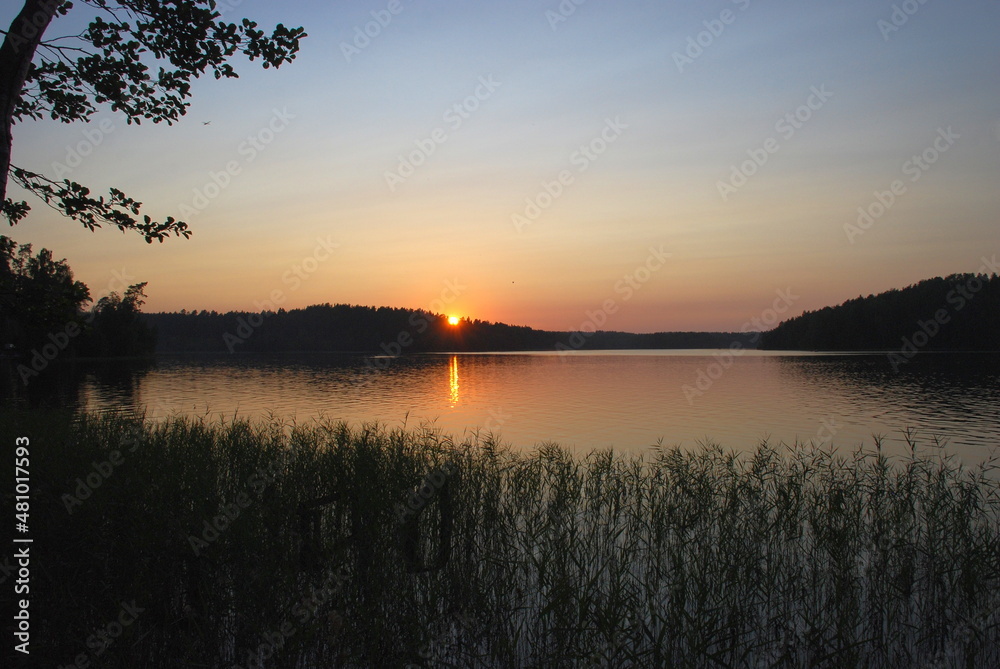 Obraz premium Sunset on the shore of a forest lake. Forest lake, trees and bushes grow on the shore, through the space between them you can see the sun setting below the horizon