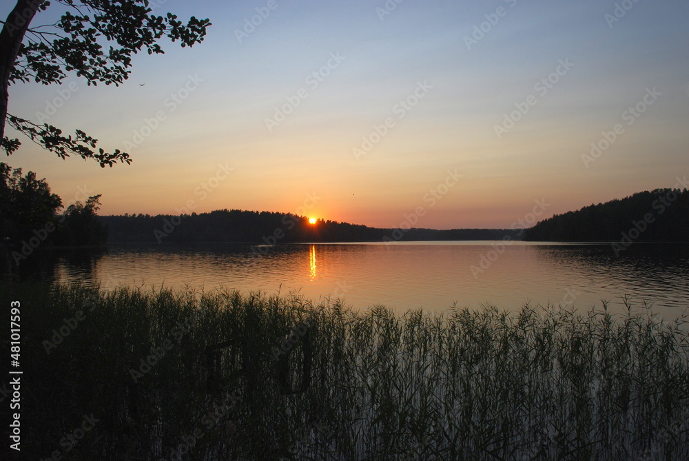 Sunset on the shore of a forest lake. Forest lake, trees and bushes grow on the shore, through the space between them you can see the sun setting below the horizon