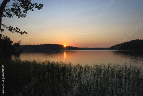 Sunset on the shore of a forest lake. Forest lake  trees and bushes grow on the shore  through the space between them you can see the sun setting below the horizon