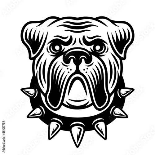 Bulldog head in spiked collar. Vector illustration in vintage monochrome style isolated on white background