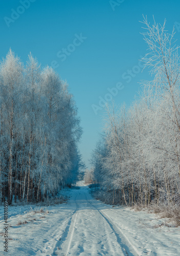 piękna błękitna zima na wsi lubelskiej photo