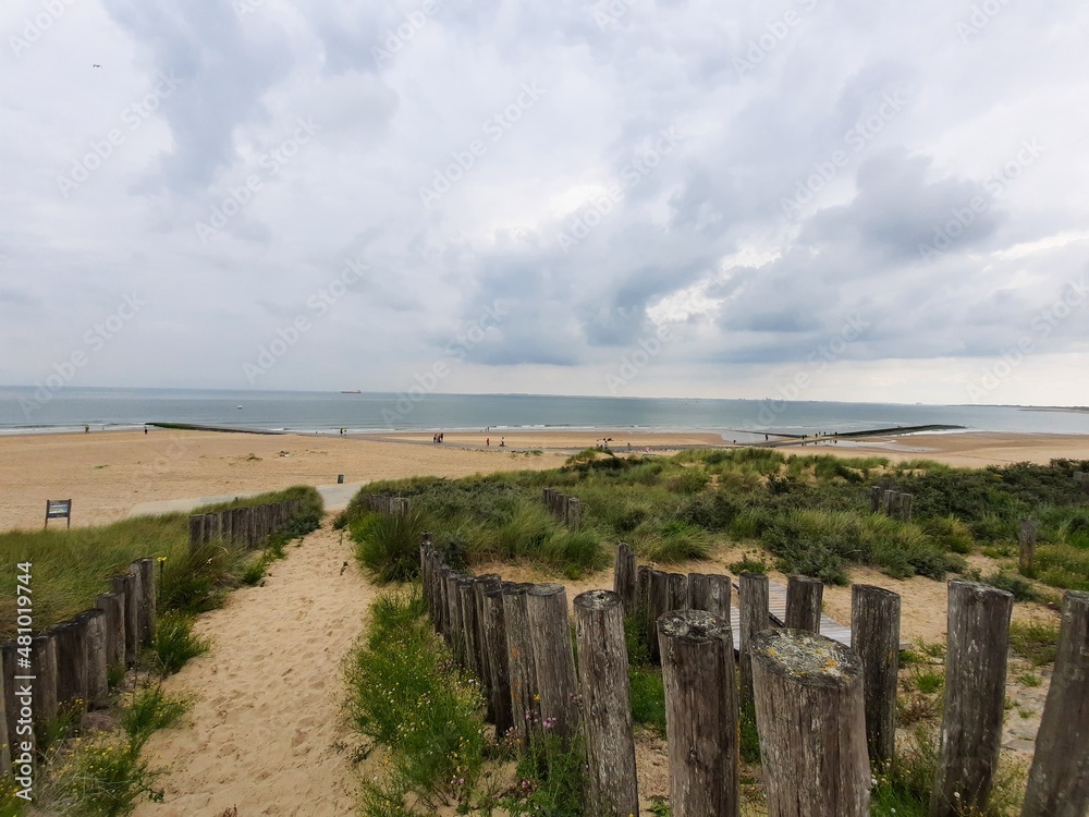 path to the beach