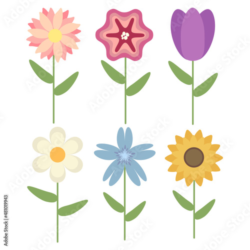 vector set of flowers