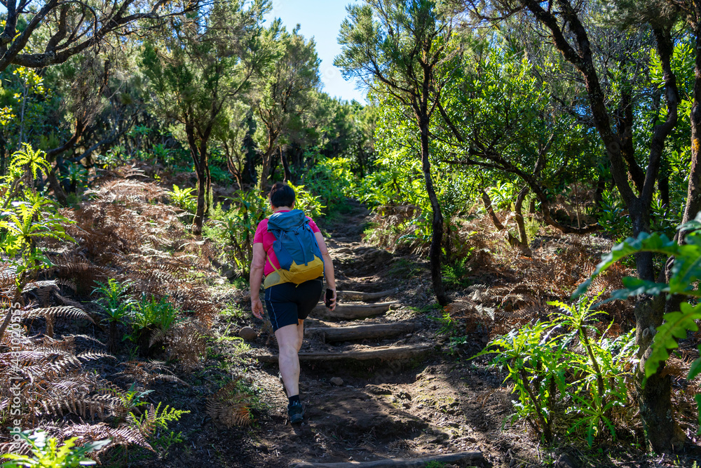 Wanderurlaub auf LA GOMERA, Kanarische Inseln: Frau auf Wanderung zum Gipfel Alto de Garajonay im Nationalpark