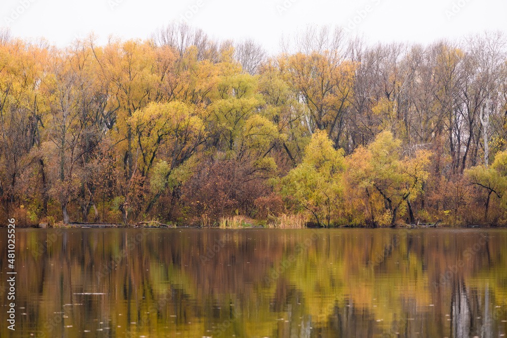 Pond with reflection of trees with yellow foliage. Pond with reflection of trees with yellow foliage.