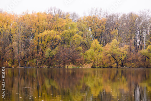 Pond with reflection of trees with yellow foliage.