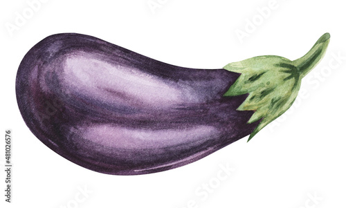 Eggplant watercolor illustration purple with green leaves hand drawn illustration