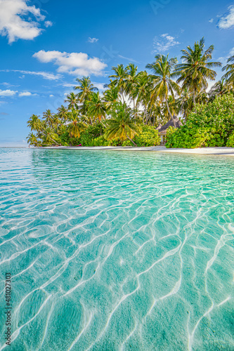 Maldives island beach. Tropical landscape of summer scenery, white sand with palm trees. Luxury travel vacation destination. Exotic beach landscape. Amazing nature, relax, freedom nature template 