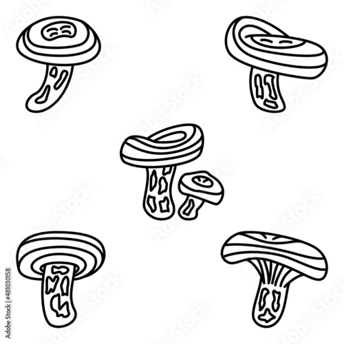 Coral milky cap. Edible forest mushroom. Set of vector icons, outline, isolated
