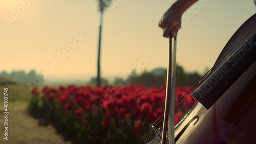 Closeup strings with bow in woman hands. Passionate girl playing cello outdoors.