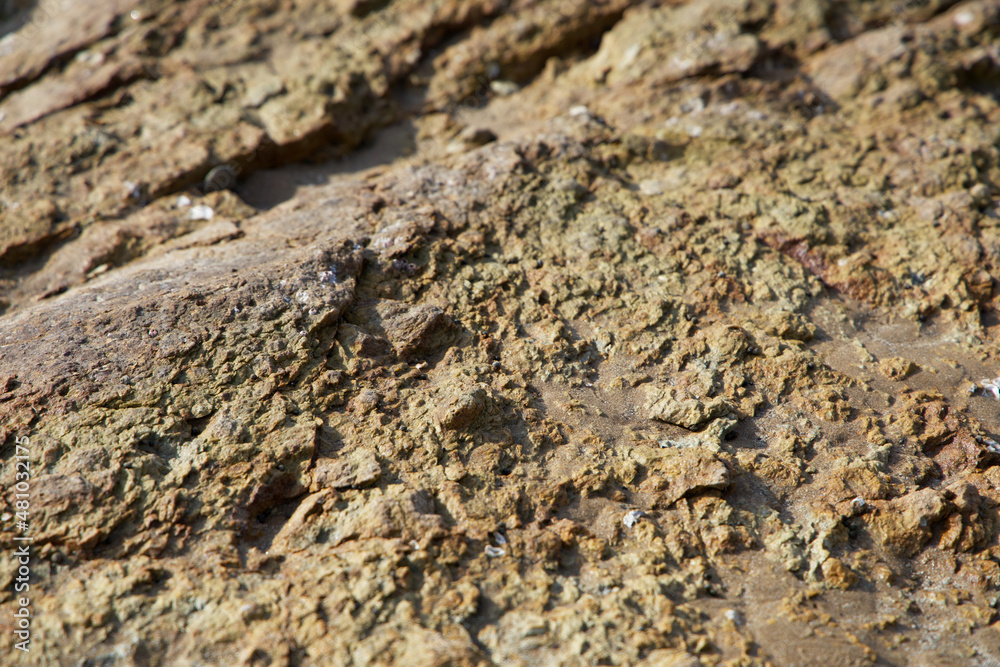rough rock with volcanic feelings rough rock with volcanic feelings
