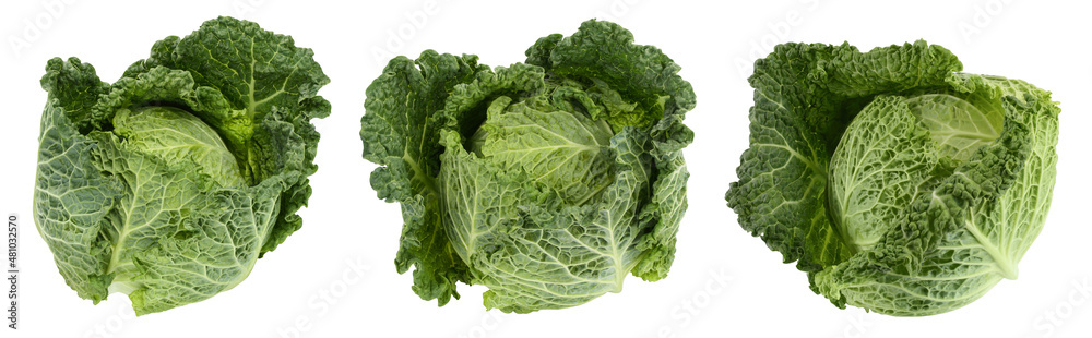Savoy cabbage isolated on white background with full depth of field. Set or collection Savoy cabbage isolated on white background with full depth of field. Set or collection