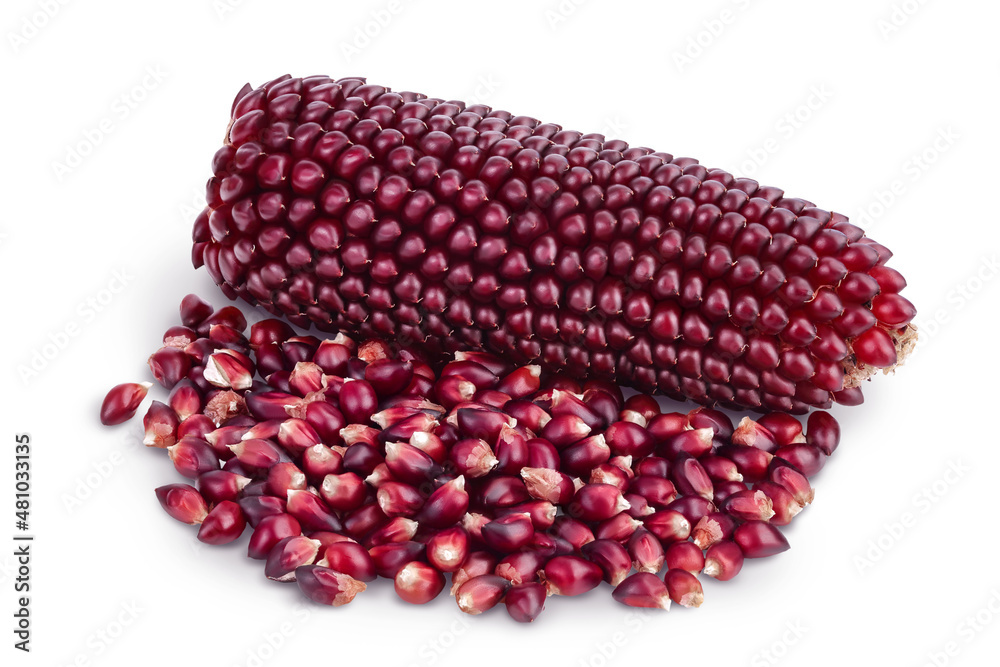 Purple corn or maize with seeds isolated on white background with clipping path and full depth of field Purple corn or maize with seeds isolated on white background with clipping path and full depth of field