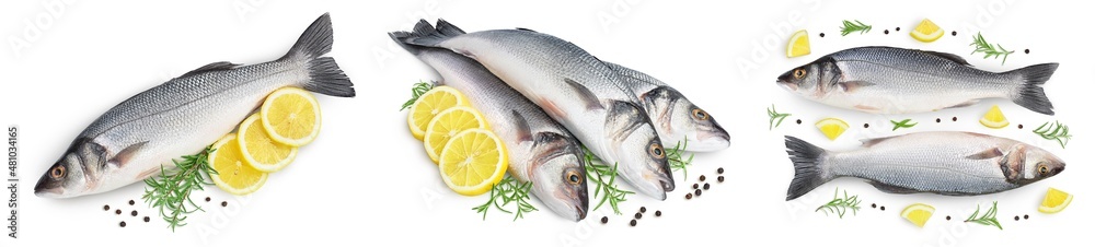 Sea bass fich isolated on white background. Top view. Flat lay. Set or collection Sea bass fich isolated on white background. Top view. Flat lay. Set or collection