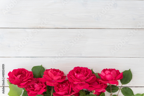 Top view of row of red roses on white wooden background, lots of copyspace. Greetimgs with valintines day, happy birthday, anniversary photo