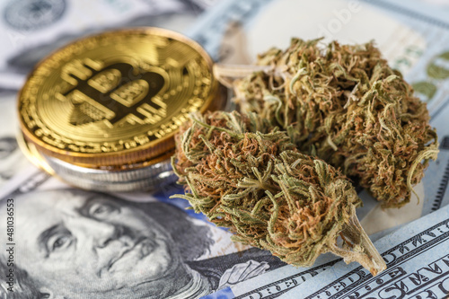 Medical Marijuana Buds with Bitcoin Cryptocurrency Coins.Cannabis Medical Marijuana Leaf and Bitcoin BTC Cryptocurrency coins on US Dollar Banknotes.Cannabis Business Concept