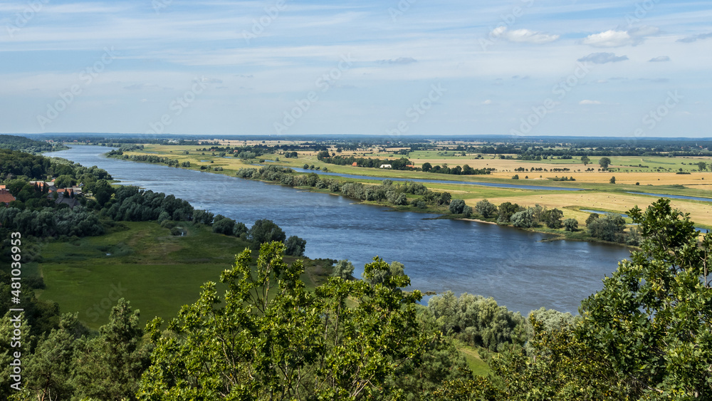 The river Elbe in the green landscape in sunshine