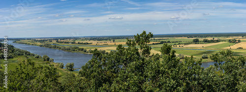 The river Elbe in the green landscape in sunshine