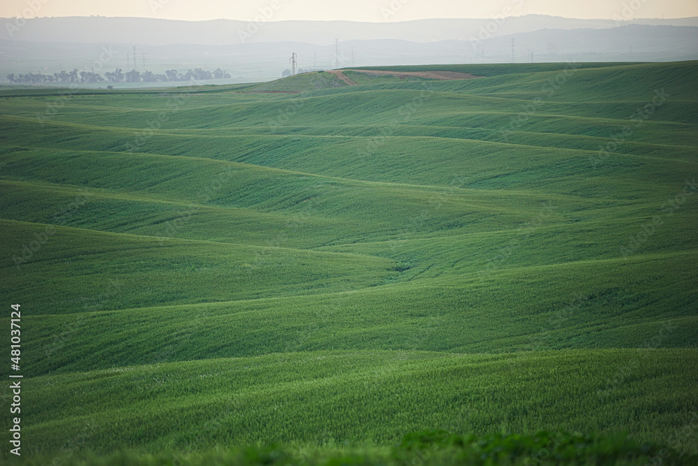 Obraz premium Amazing Landscapes of Israel, Views of the Holy Land 