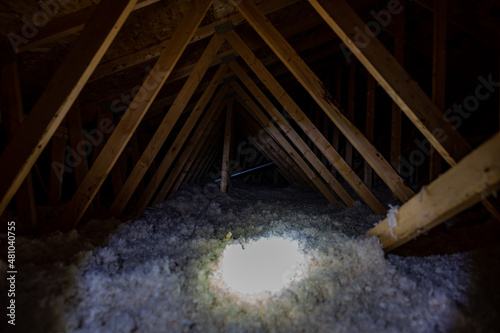 Картината върху платно Dark attic with loose blown insulation seen throughout.